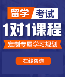 大鸡巴第一次进去留学考试一对一精品课